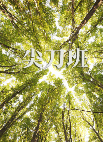 日韩精品成人